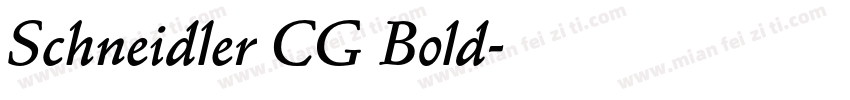 Schneidler CG Bold字体转换